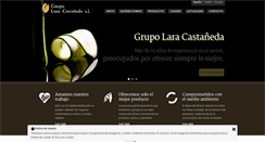 Desktop Screenshot of laracastaneda.es